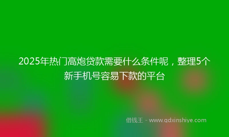 2025年热门高炮贷款需要什么条件呢，整理5个新手机号容易下款的平台