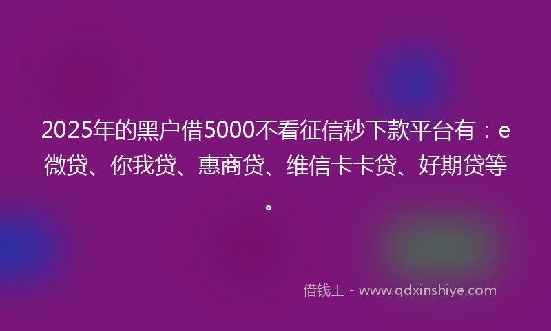 2025年的黑户借5000不看征信秒下款平台有：e微贷、你我贷、惠商贷、维信卡卡贷、好期贷等。