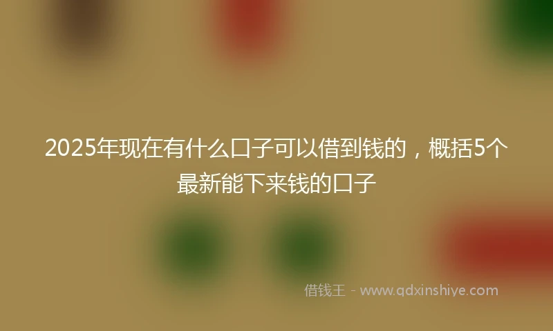 2025年现在有什么口子可以借到钱的，概括5个最新能下来钱的口子