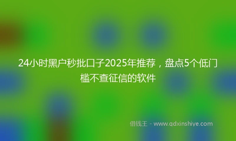 24小时黑户秒批口子2025年推荐，盘点5个低门槛不查征信的软件