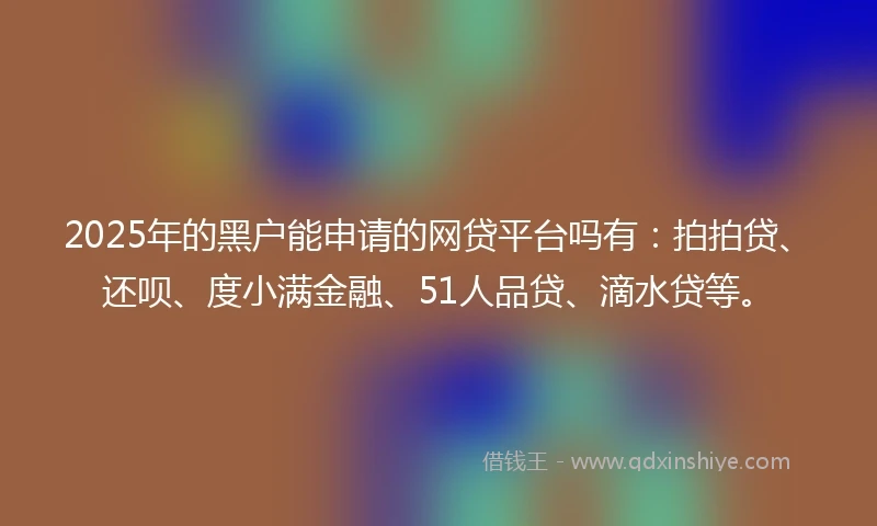 2025年的黑户能申请的网贷平台吗有：拍拍贷、还呗、度小满金融、51人品贷、滴水贷等。