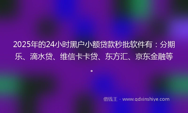 2025年的24小时黑户小额贷款秒批软件有：分期乐、滴水贷、维信卡卡贷、东方汇、京东金融等。