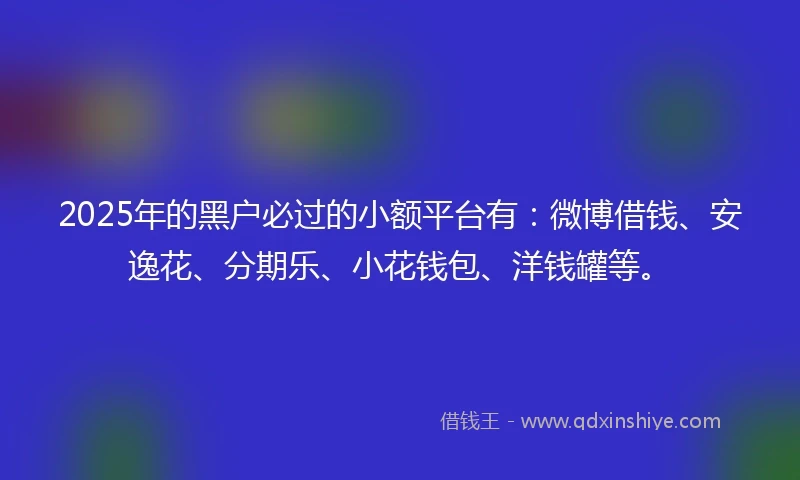 2025年的黑户必过的小额平台有：微博借钱、安逸花、分期乐、小花钱包、洋钱罐等。