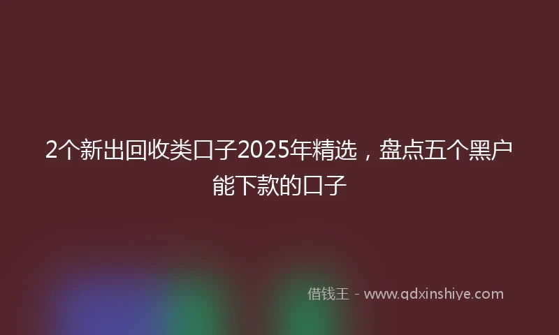 2个新出回收类口子2025年精选，盘点五个黑户能下款的口子