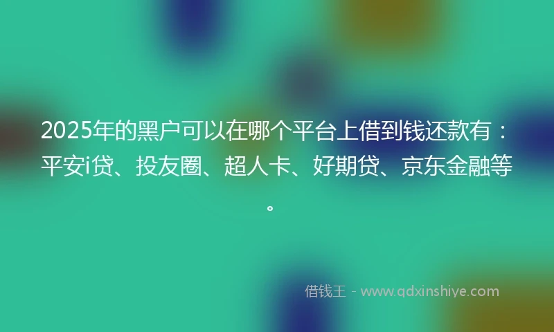 2025年的黑户可以在哪个平台上借到钱还款有：平安i贷、投友圈、超人卡、好期贷、京东金融等。