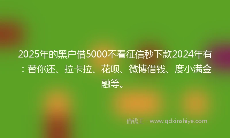 2025年的黑户借5000不看征信秒下款2024年有：替你还、拉卡拉、花呗、微博借钱、度小满金融等。