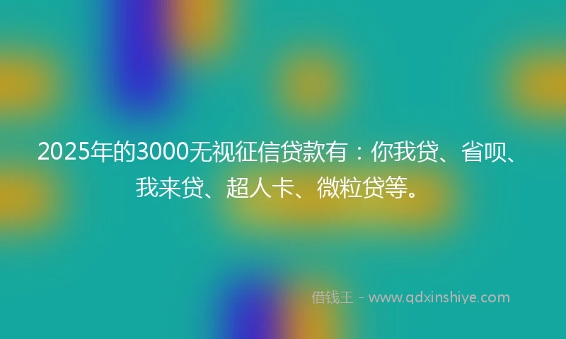 2025年的3000无视征信贷款有：你我贷、省呗、我来贷、超人卡、微粒贷等。