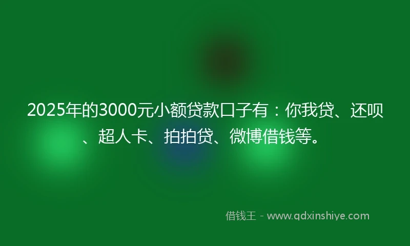 2025年的3000元小额贷款口子有：你我贷、还呗、超人卡、拍拍贷、微博借钱等。