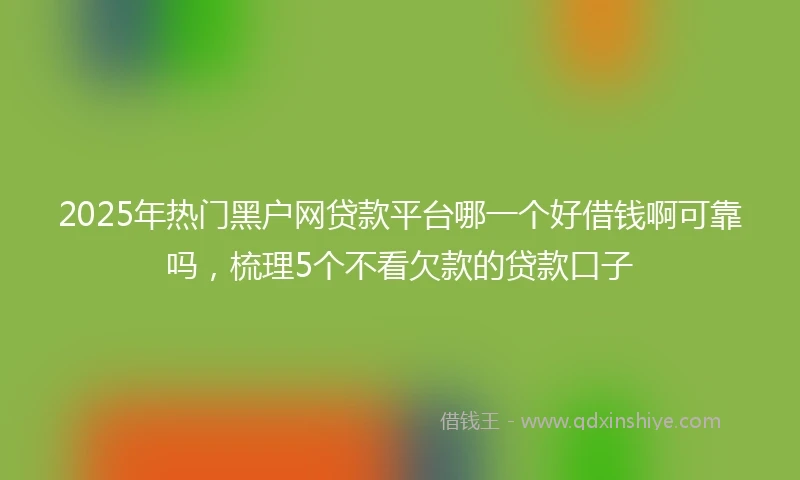 2025年热门黑户网贷款平台哪一个好借钱啊可靠吗，梳理5个不看欠款的贷款口子