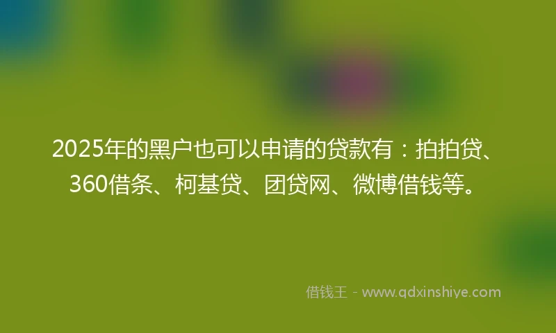 2025年的黑户也可以申请的贷款有：拍拍贷、360借条、柯基贷、团贷网、微博借钱等。