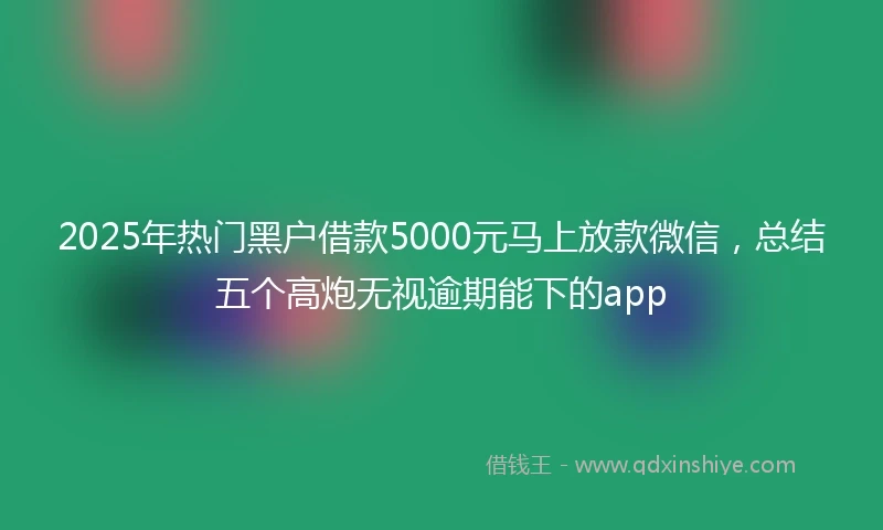 2025年热门黑户借款5000元马上放款微信，总结五个高炮无视逾期能下的app