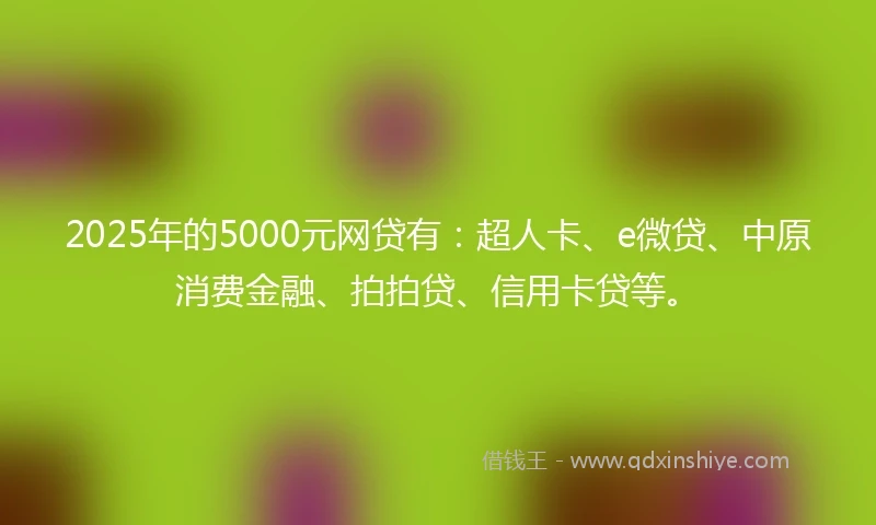 2025年的5000元网贷有:超人卡、e微贷、中原消费金融、拍拍贷、信用卡贷等。