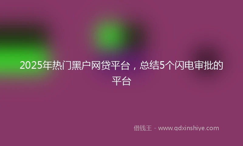 2025年热门黑户网贷平台，总结5个闪电审批的平台