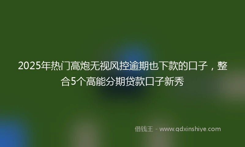 2025年热门高炮无视风控逾期也下款的口子，整合5个高能分期贷款口子新秀