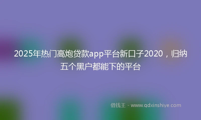 2025年热门高炮贷款app平台新口子2020，归纳五个黑户都能下的平台