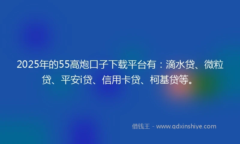 2025年的55高炮口子下载平台有:滴水贷、微粒贷、平安i贷、信用卡贷、柯基贷等。