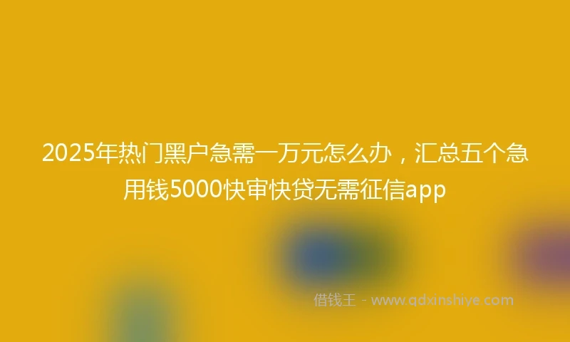 2025年热门黑户急需一万元怎么办，汇总五个急用钱5000快审快贷无需征信app