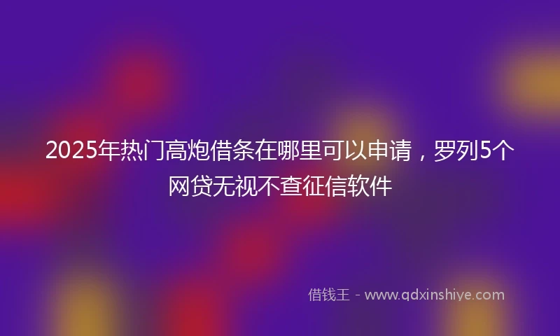 2025年热门高炮借条在哪里可以申请，罗列5个网贷无视不查征信软件