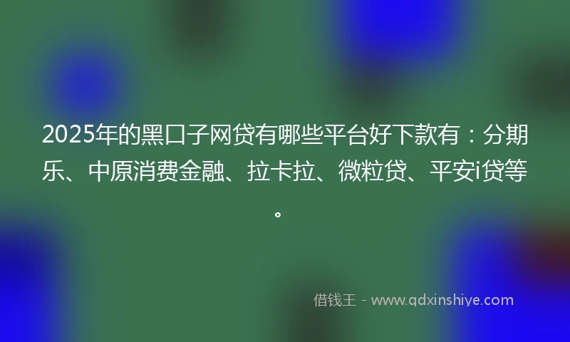 2025年的黑口子网贷有哪些平台好下款有：分期乐、中原消费金融、拉卡拉、微粒贷、平安i贷等。
