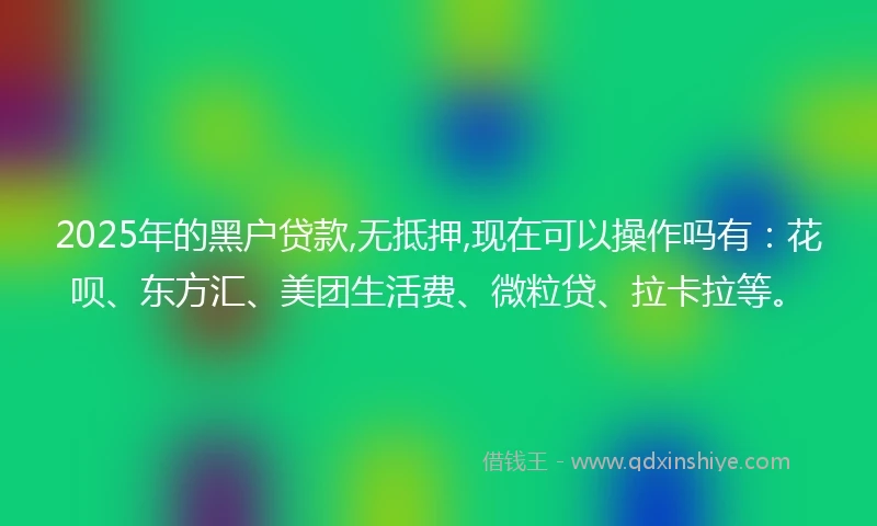 2025年的黑户贷款,无抵押,现在可以操作吗有：花呗、东方汇、美团生活费、微粒贷、拉卡拉等。