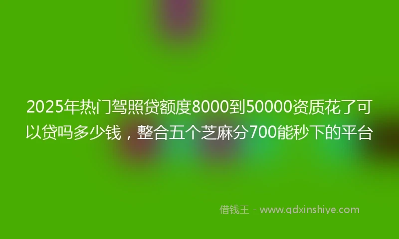 2025年热门驾照贷额度8000到50000资质花了可以贷吗多少钱,整合五个芝麻分700能秒下的平台