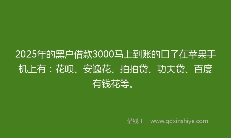 2025年的黑户借款3000马上到账的口子在苹果手机上有：花呗、安逸花、拍拍贷、功夫贷、百度有钱花等。