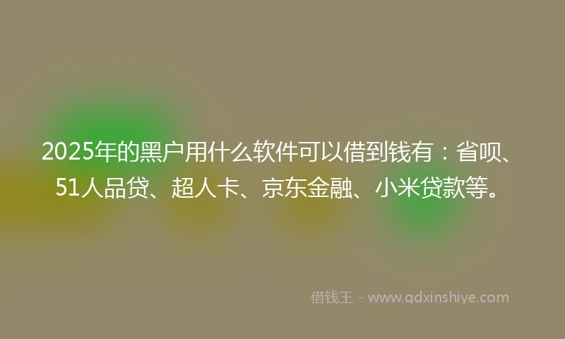 2025年的黑户用什么软件可以借到钱有：省呗、51人品贷、超人卡、京东金融、小米贷款等。