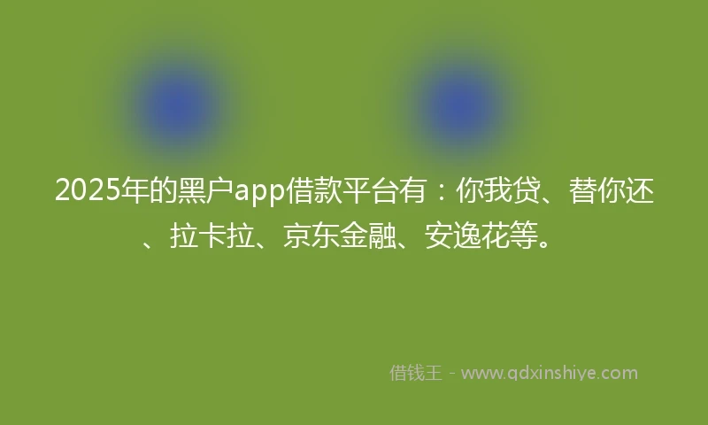2025年的黑户app借款平台有：你我贷、替你还、拉卡拉、京东金融、安逸花等。