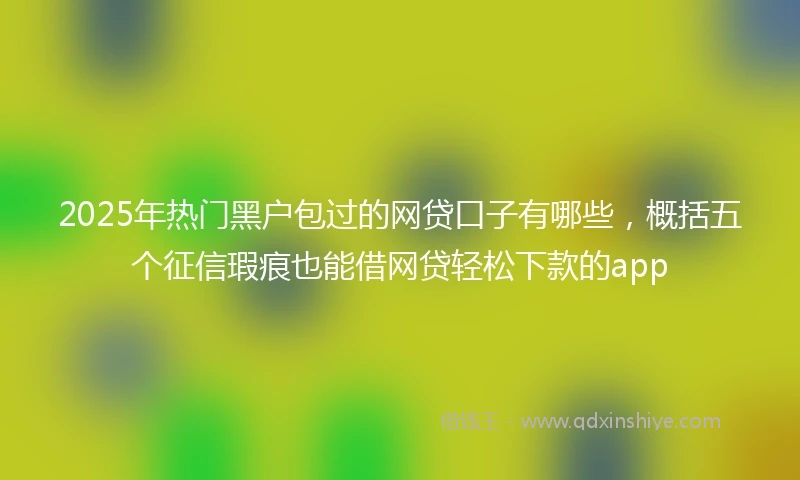 2025年热门黑户包过的网贷口子有哪些，概括五个征信瑕疵也能借网贷轻松下款的app
