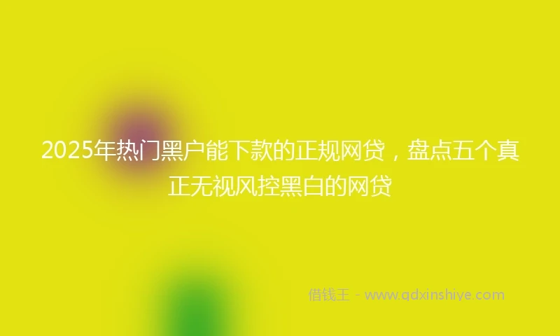 2025年热门黑户能下款的正规网贷，盘点五个真正无视风控黑白的网贷
