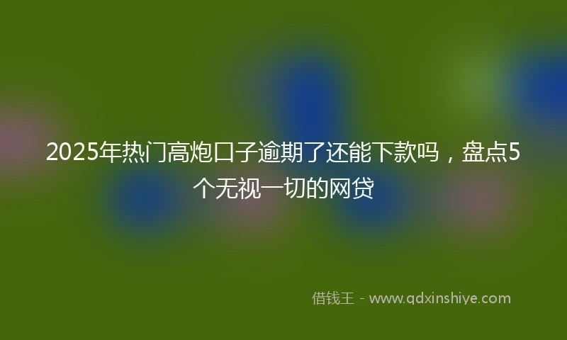2025年热门高炮口子逾期了还能下款吗，盘点5个无视一切的网贷
