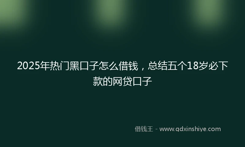 2025年热门黑口子怎么借钱，总结五个18岁必下款的网贷口子