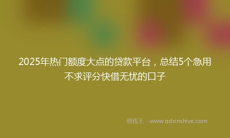 2025年热门额度大点的贷款平台，总结5个急用不求评分快借无忧的口子