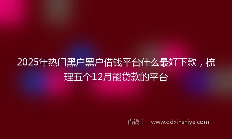 2025年热门黑户黑户借钱平台什么最好下款，梳理五个12月能贷款的平台