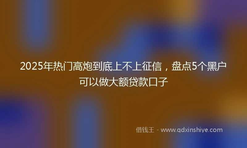 2025年热门高炮到底上不上征信，盘点5个黑户可以做大额贷款口子