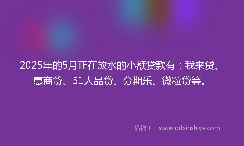 2025年的5月正在放水的小额贷款有：我来贷、惠商贷、51人品贷、分期乐、微粒贷等。