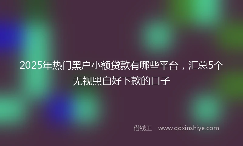 2025年热门黑户小额贷款有哪些平台，汇总5个无视黑白好下款的口子