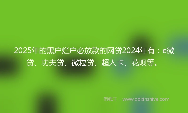 2025年的黑户烂户必放款的网贷2024年有：e微贷、功夫贷、微粒贷、超人卡、花呗等。