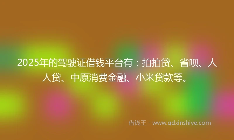 2025年的驾驶证借钱平台有：拍拍贷、省呗、人人贷、中原消费金融、小米贷款等。