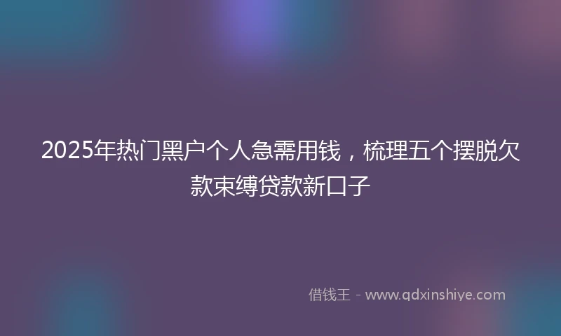 2025年热门黑户个人急需用钱，梳理五个摆脱欠款束缚贷款新口子