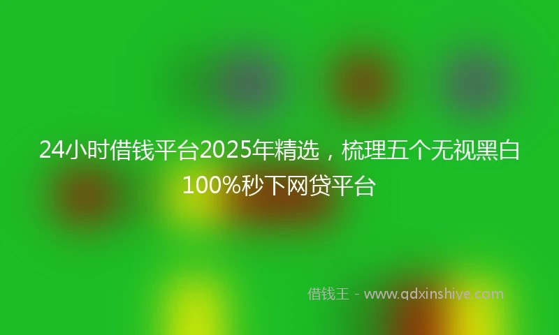 24小时借钱平台2025年精选，梳理五个无视黑白100%秒下网贷平台