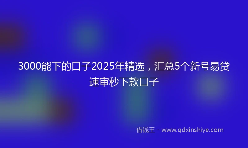 3000能下的口子2025年精选，汇总5个新号易贷速审秒下款口子
