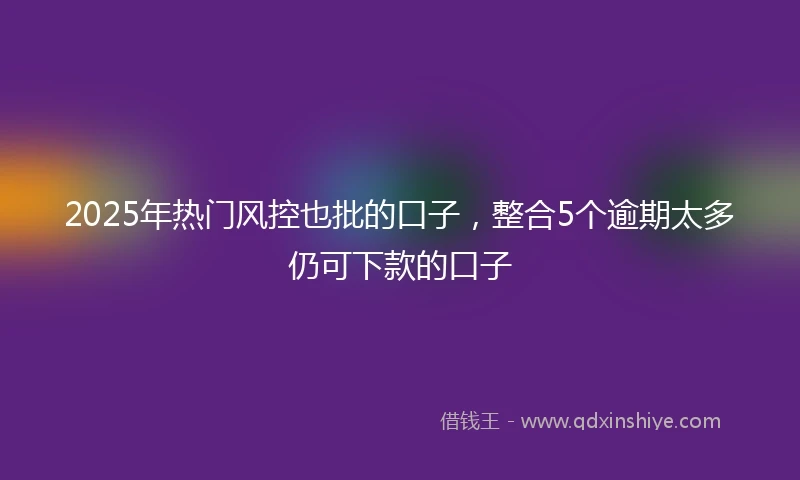 2025年热门风控也批的口子，整合5个逾期太多仍可下款的口子