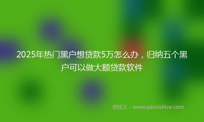 2025年热门黑户想贷款5万怎么办，归纳五个黑户可以做大额贷款软件