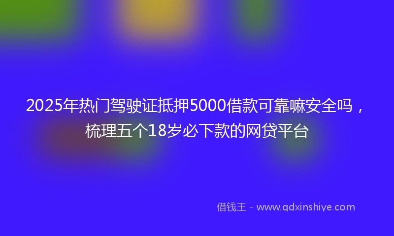 2025年热门驾驶证抵押5000借款可靠嘛安全吗，梳理五个18岁必下款的网贷平台