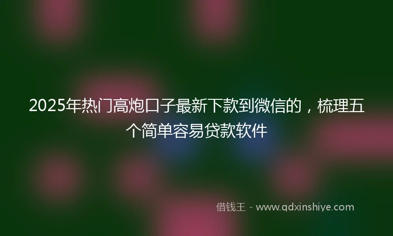 2025年热门高炮口子最新下款到微信的，梳理五个简单容易贷款软件