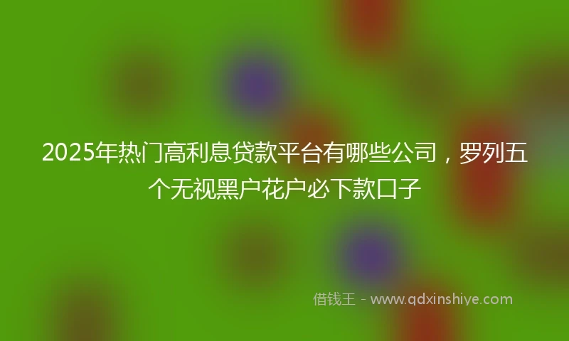 2025年热门高利息贷款平台有哪些公司，罗列五个无视黑户花户必下款口子