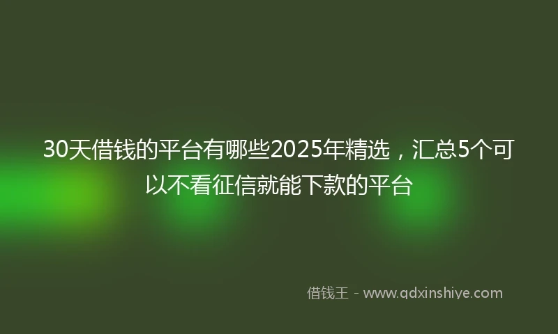 30天借钱的平台有哪些2025年精选，汇总5个可以不看征信就能下款的平台