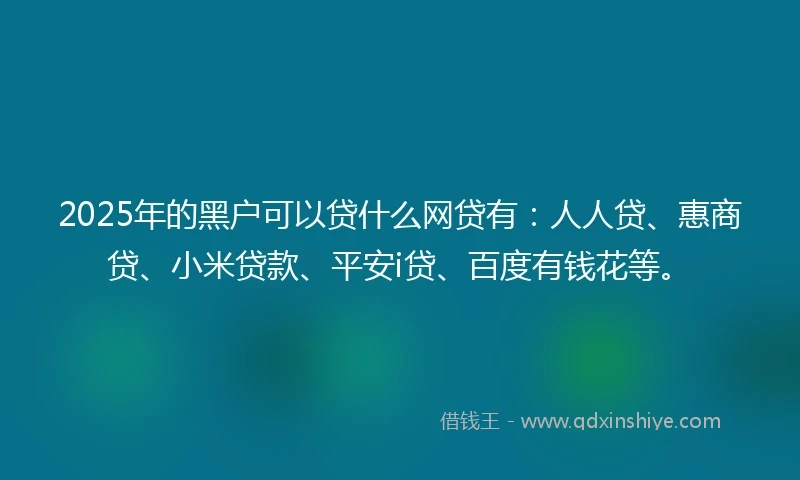 2025年的黑户可以贷什么网贷有：人人贷、惠商贷、小米贷款、平安i贷、百度有钱花等。