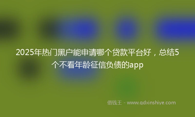 2025年热门黑户能申请哪个贷款平台好，总结5个不看年龄征信负债的app
